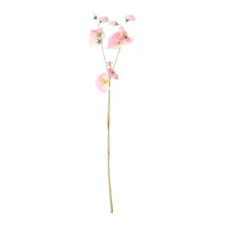 Lathyrus op steel roze 60 cm