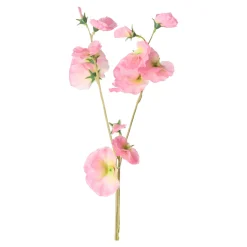 Lathyrus op steel roze 60 cm