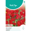 Lathyrus Royal Family rood