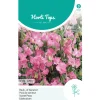 Lathyrus Royal roze