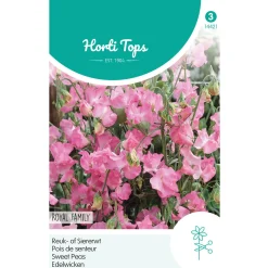 Lathyrus Royal roze