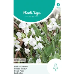 Lathyrus Royal White