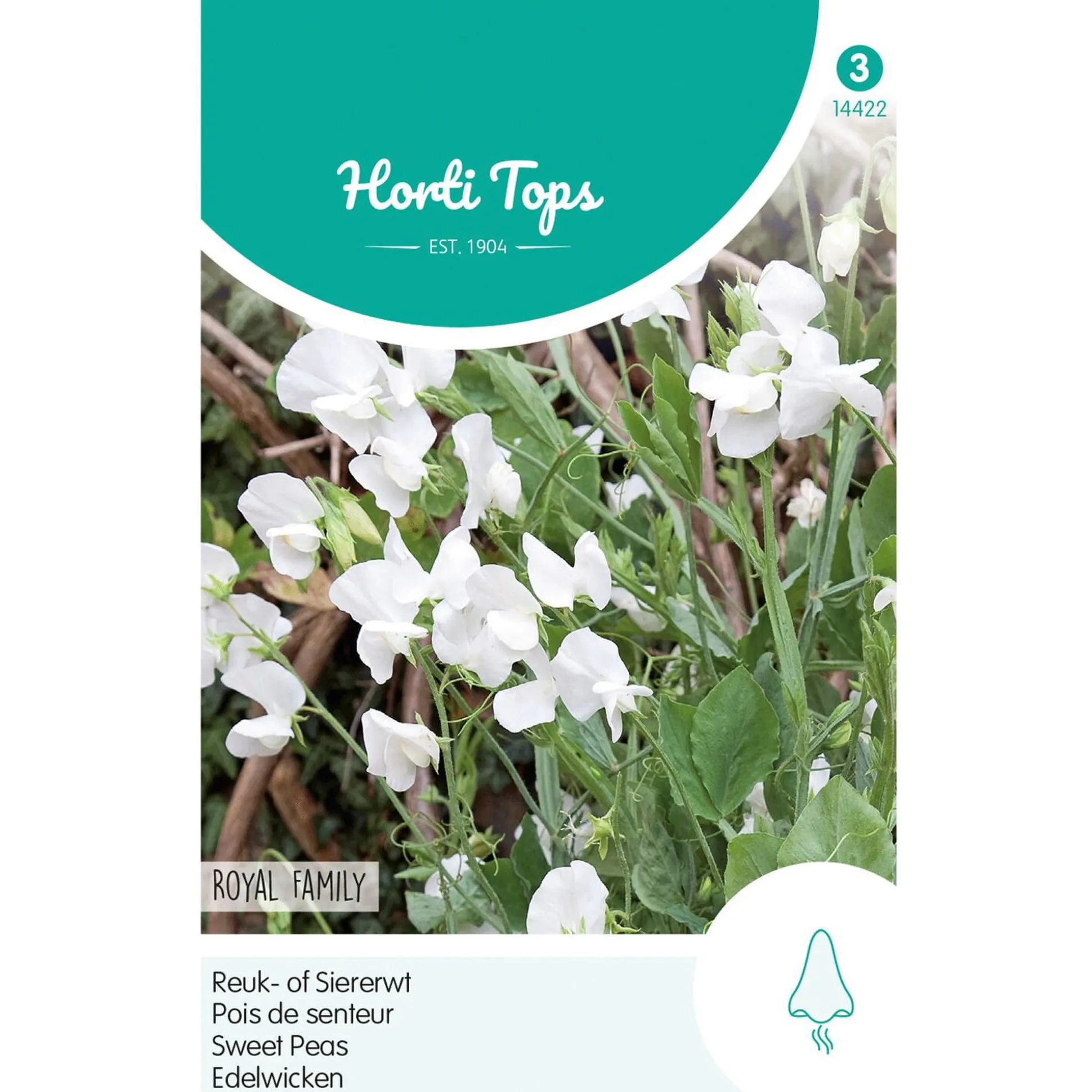 Lathyrus Royal White