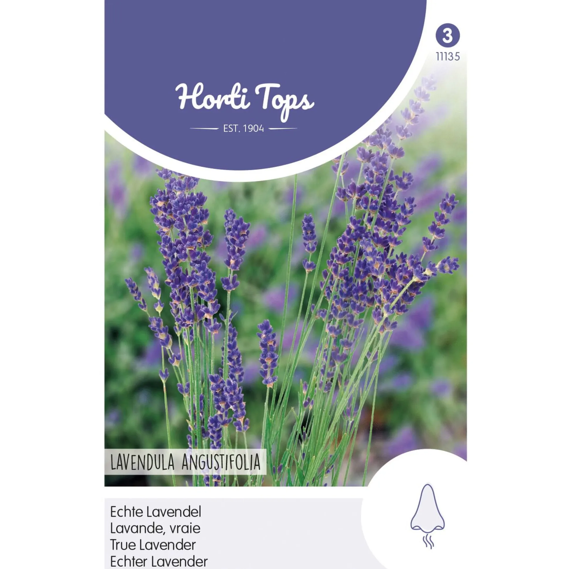 Lavendel zaad