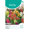 Leeuwenbekje Halfhoog Mix