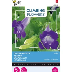 Leeuwenmuiltje Violet
