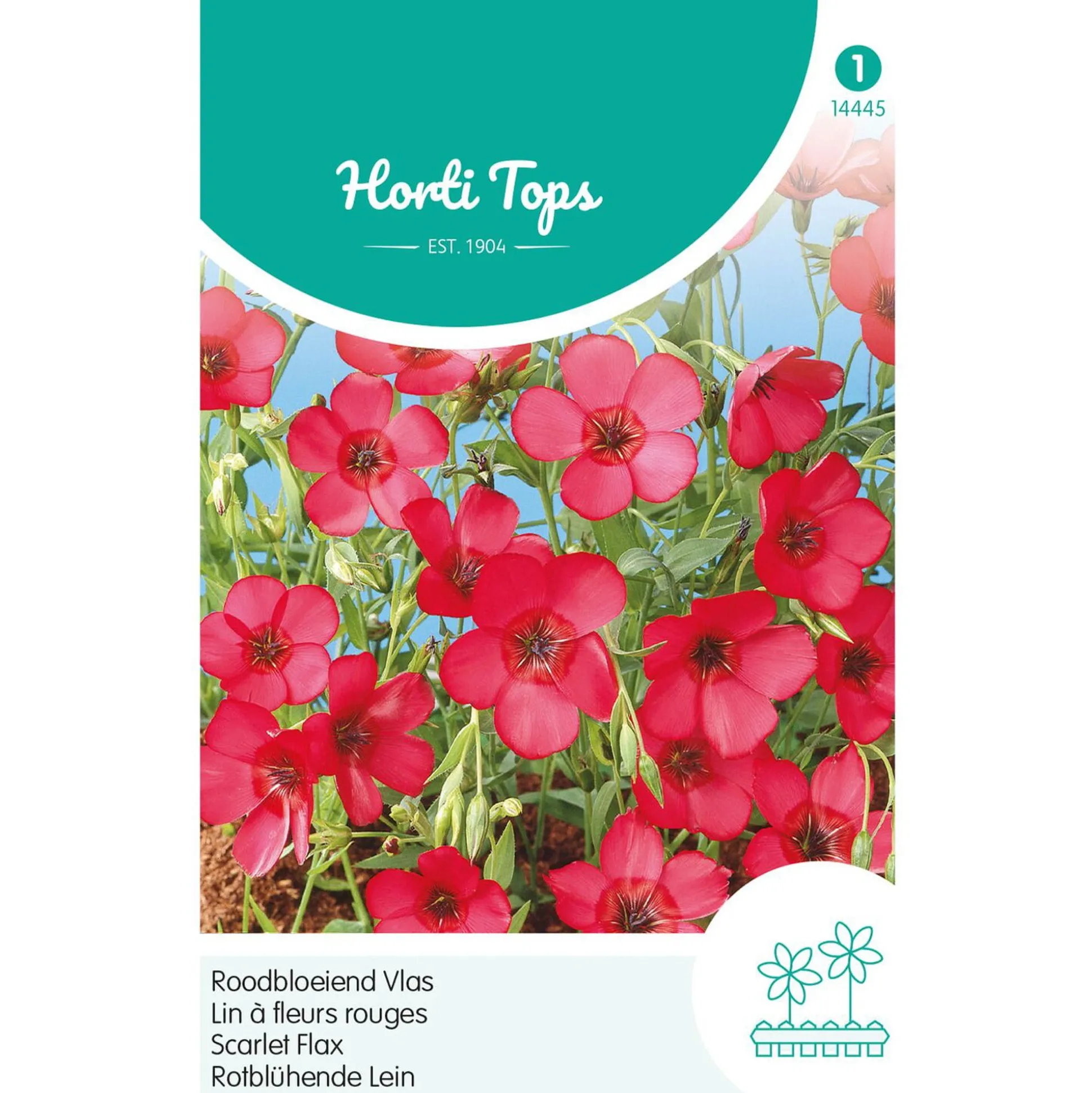 Linum rood