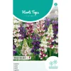 Lupine Pixie Delight mix