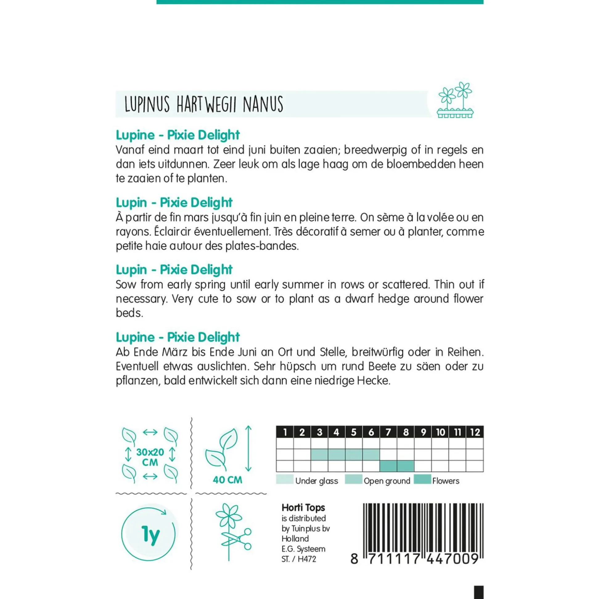 Lupine Pixie Delight mix