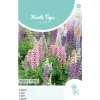 Lupine Russell Hybrids mix