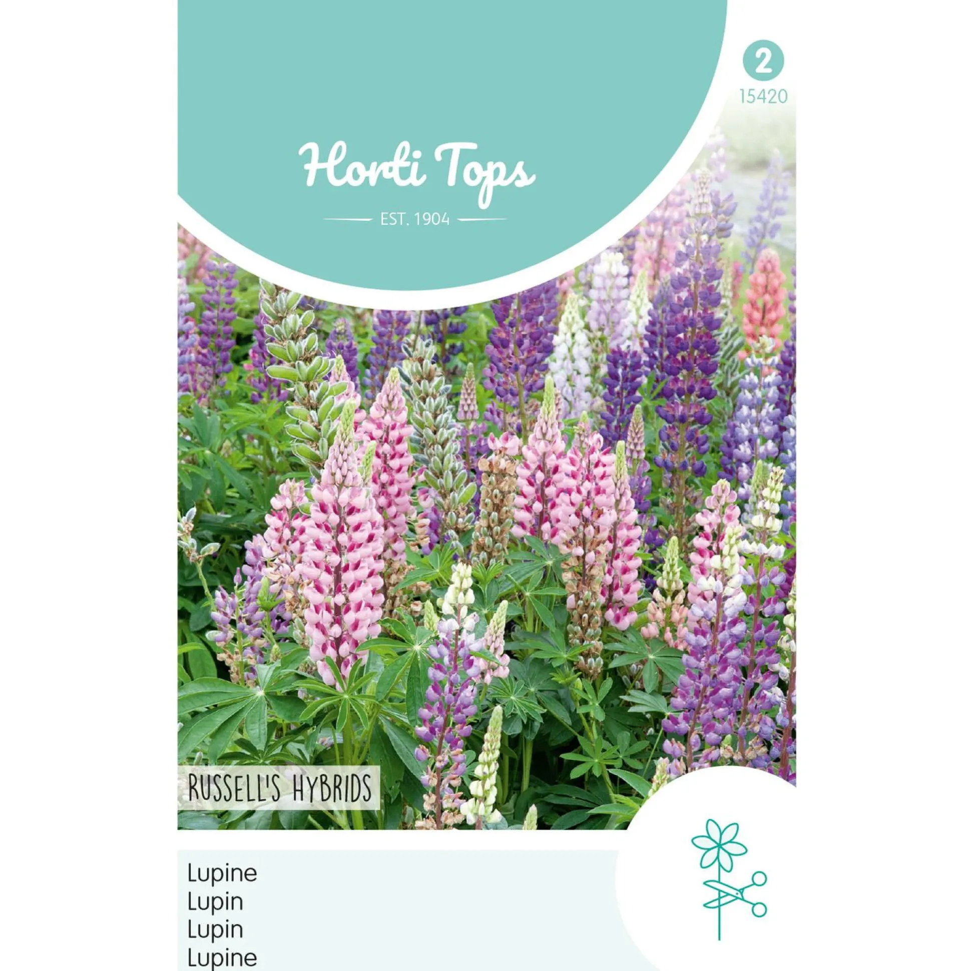 Lupine Russell Hybrids mix