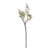 Magnolia enkel 55 cm groen