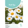 Margriet May Queen