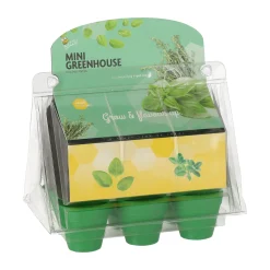 Mini Greenhouse kitchen herbs 8 Buzzy