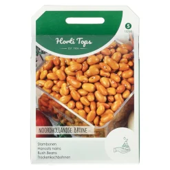 Noordhollandse bruine Stambonen 100g
