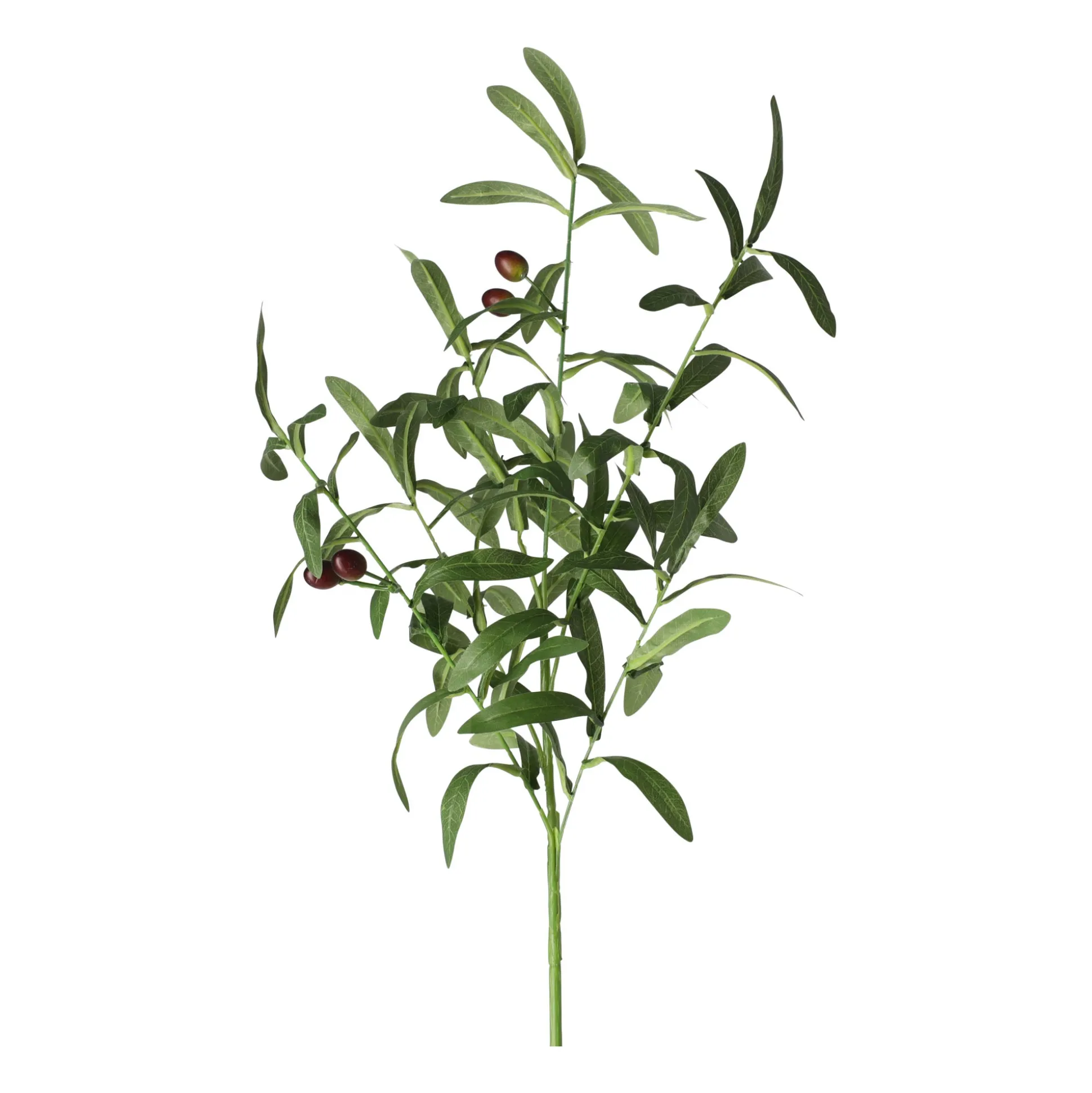 Olijftak 85 cm