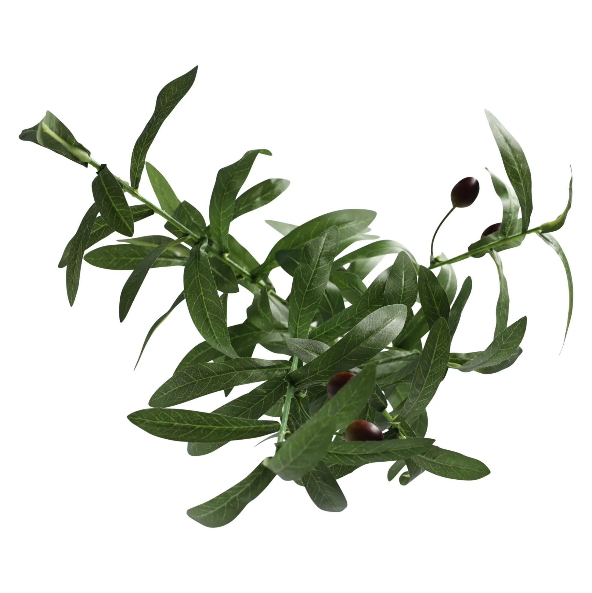 Olijftak 85 cm