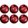 Onderzetter rond fruit 10 cm 6 assorti