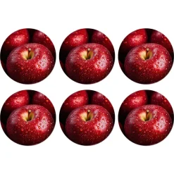 Onderzetter rond fruit 10 cm 6 assorti