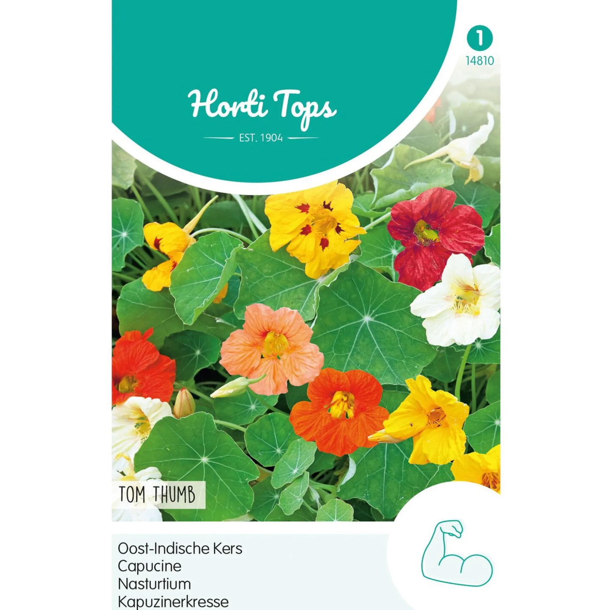 Oost-Indische kers Tom Thumb