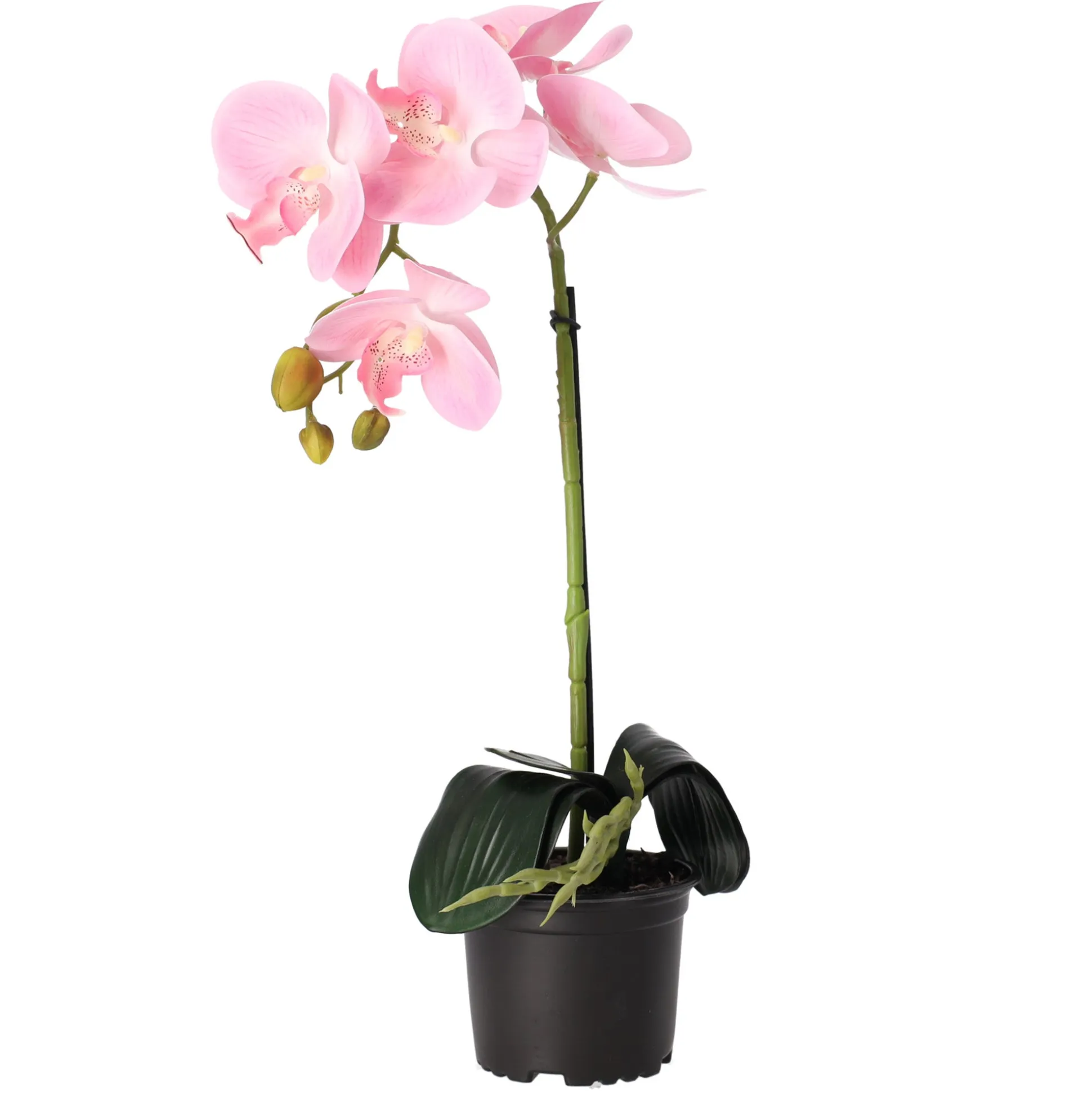 Orchidee 38 cm roze