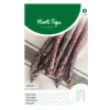 Paarse asperge Albenga