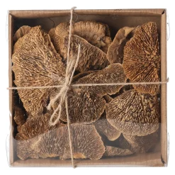 Paddenstoel deco naturel 120g