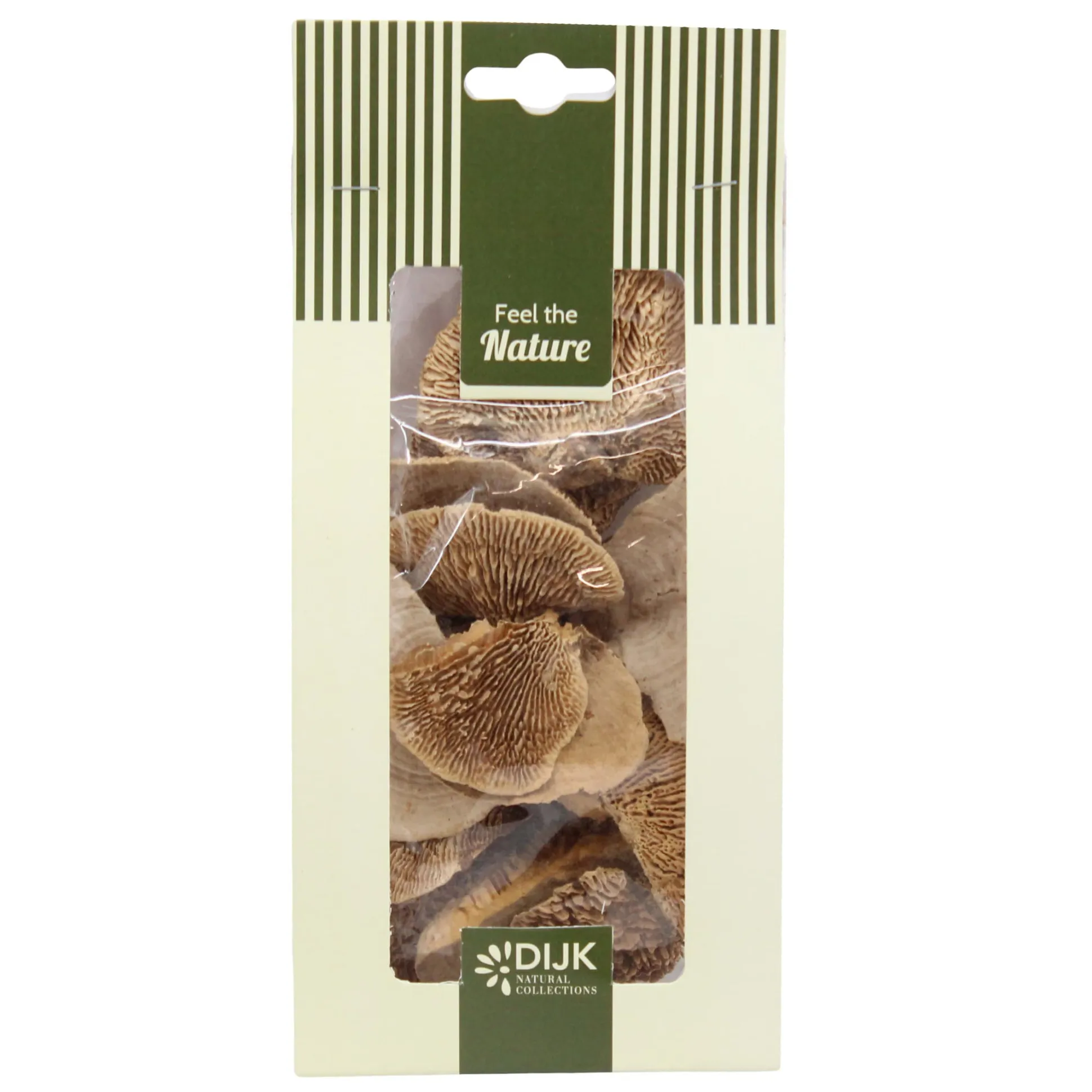 Paddenstoel naturel 50g