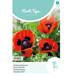 Papaver Orientale Oosterse klaproos rood