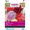 Papaver Pioenbloemig