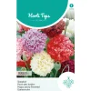 Papaver Slaapbol mix