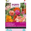 Papaver Thai Silk