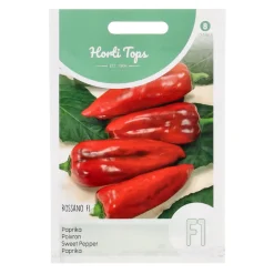 Paprika Rossano zaad