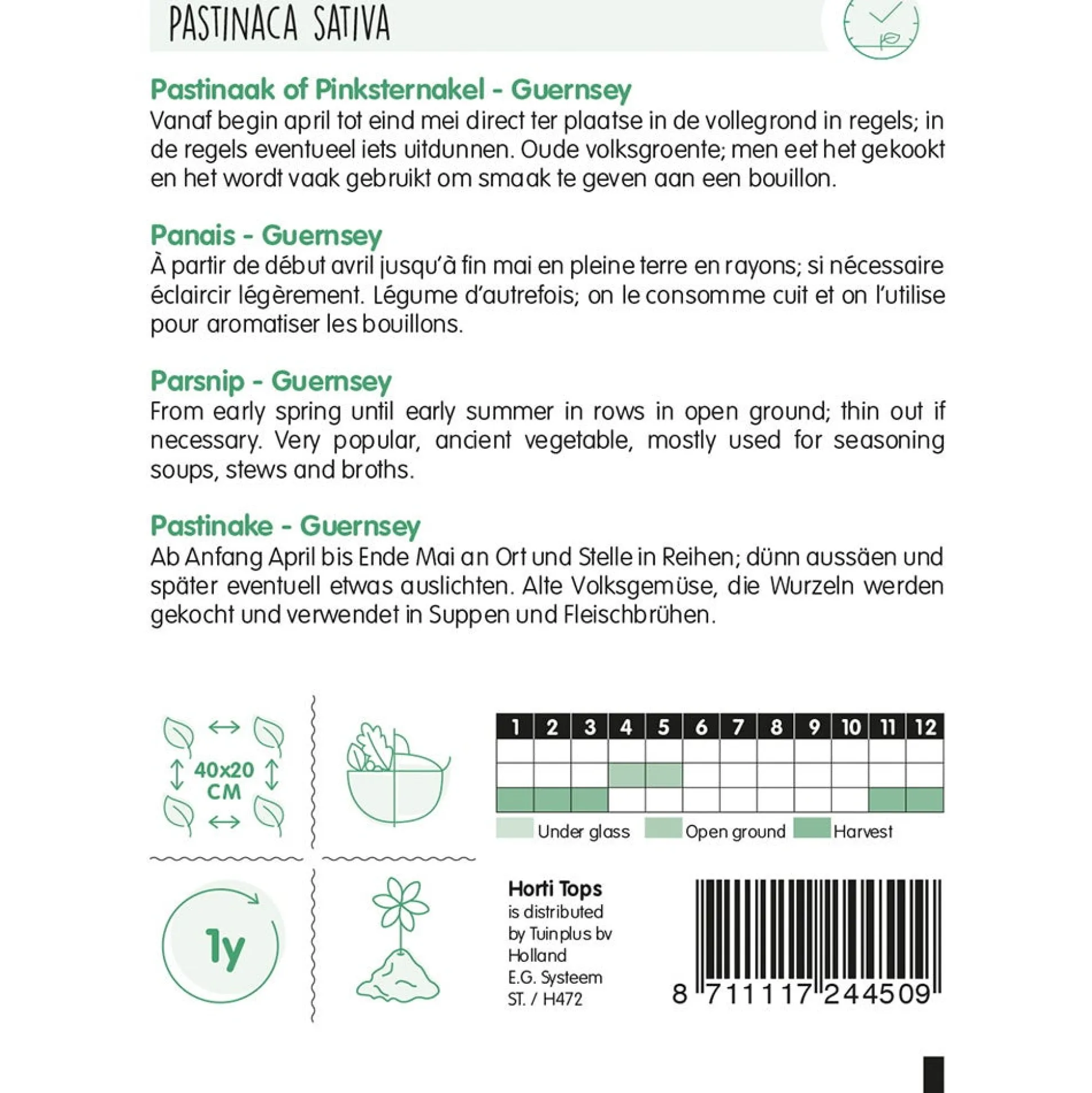 Pastinaak Guernsey / pinksternakel zaad