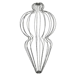 Pegel micro draad 75 cm 320LED-cg