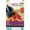 Peper Carolina Reaper