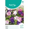 Petunia laag mix