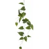 Philodendron hangend groen 115 cm