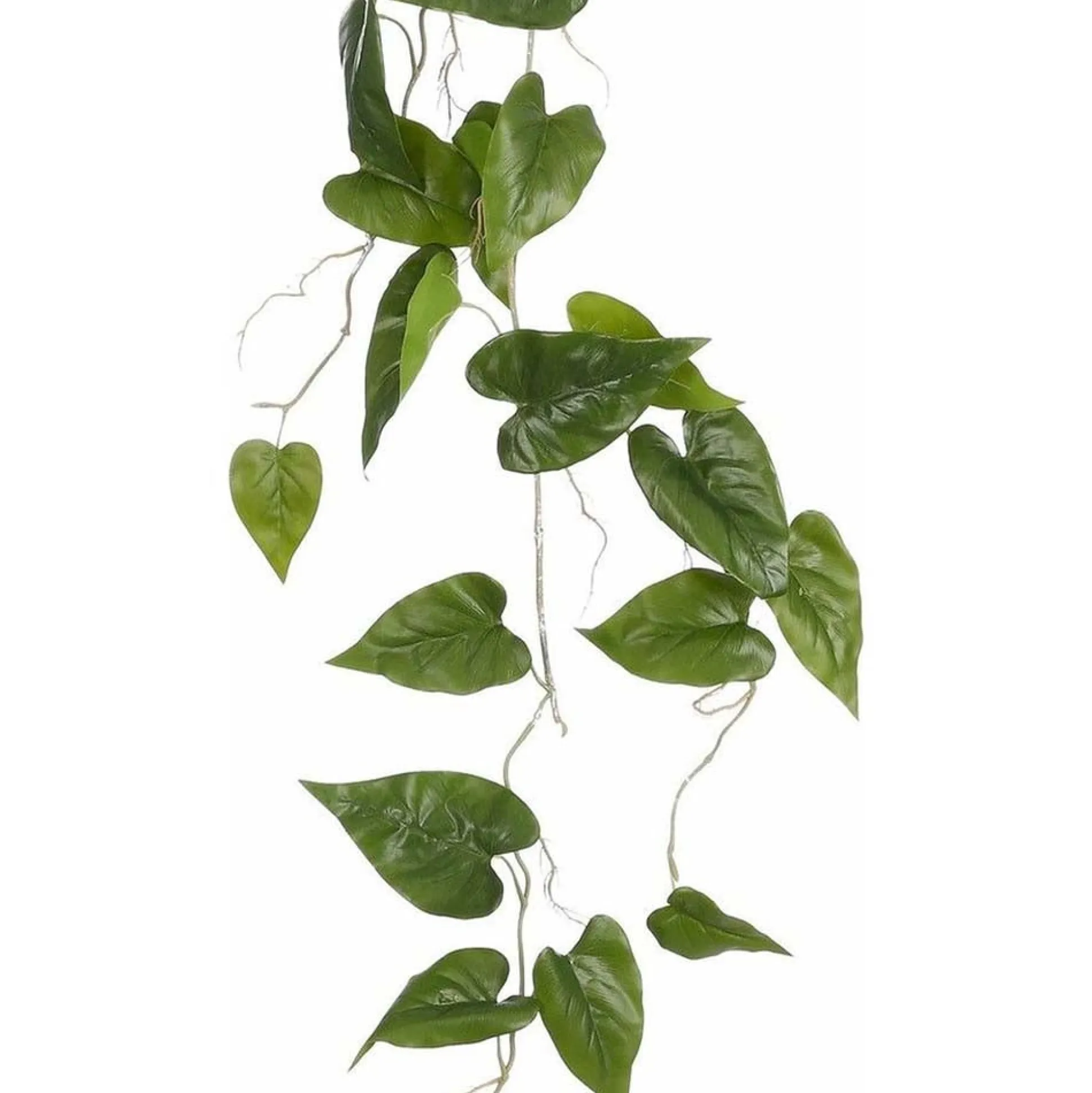 Philodendron hangend groen 115 cm
