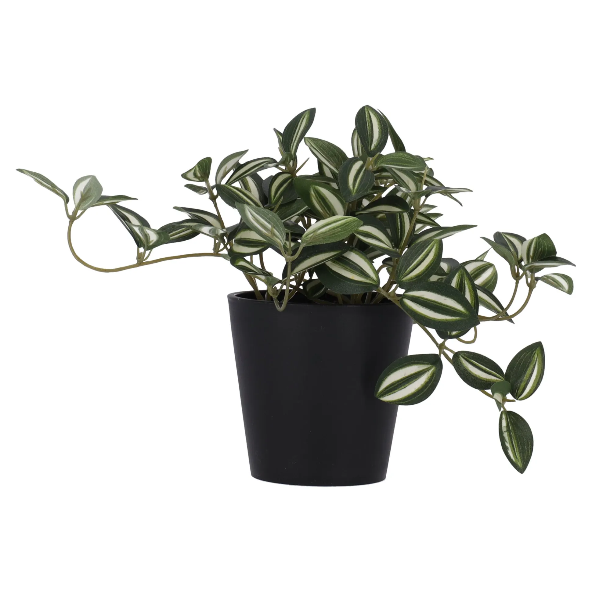 Plant green gem 18 cm