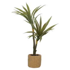 Plant in pot 60 cm