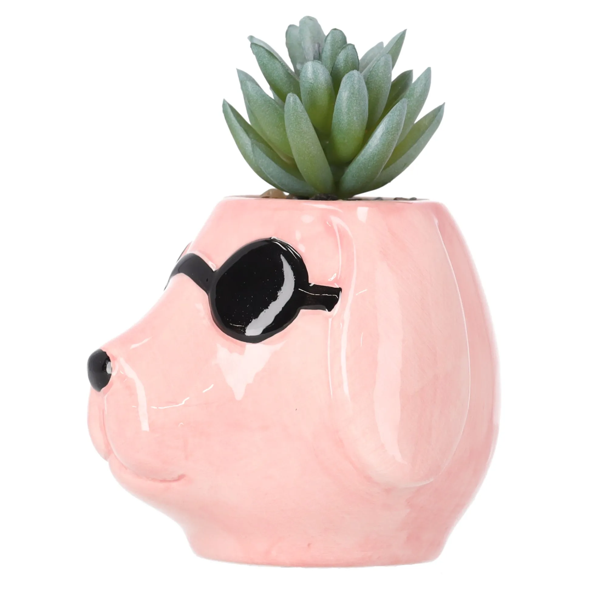 Plant in pot keramiek 11 x 8 x 12 cm