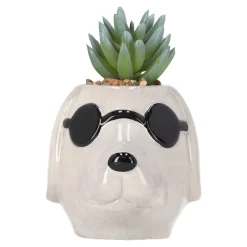 Plant in pot keramiek 11 x 8 x 12 cm