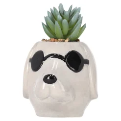 Plant in pot keramiek 11 x 8 x 12 cm
