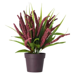 Plant K 30 cm