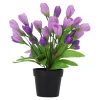 Plant W 4 assorti