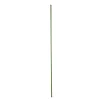 Plantenstok groen 16mmx210cm Bel Garden