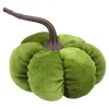 Pompoen fluweel 15 cm