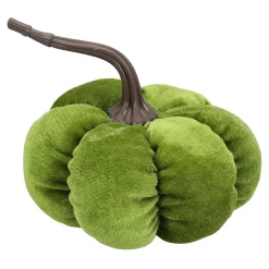 Pompoen fluweel 15 cm