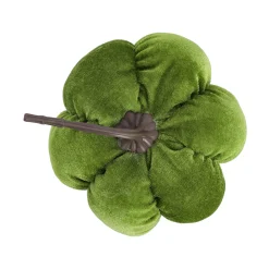 Pompoen fluweel 15 cm